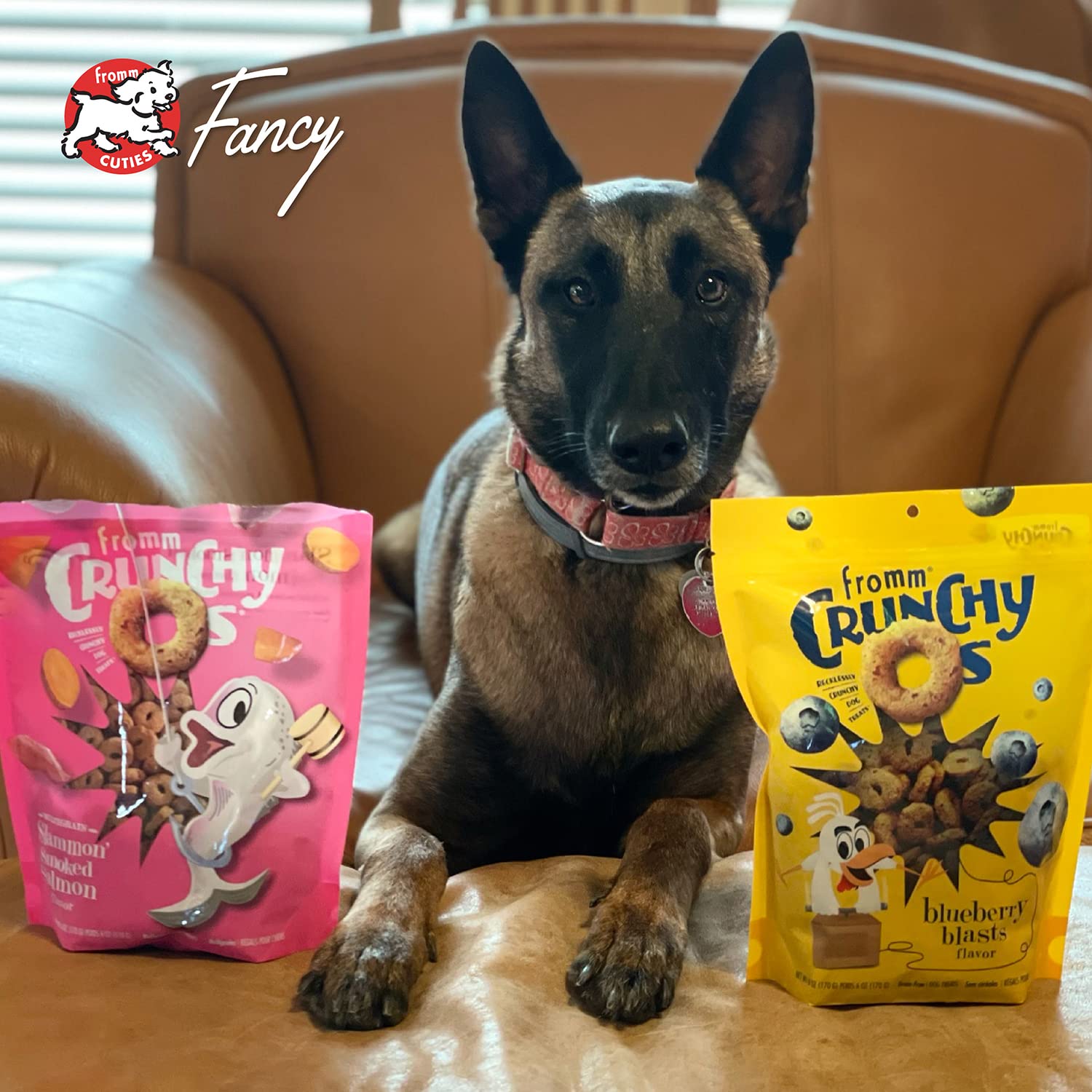 Fromm Crunchy Os Blueberry Blasts kibble texture, dog-friendly bite-sized treats