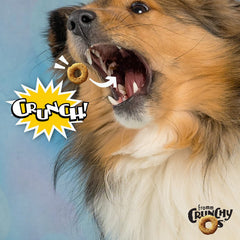 Fromm Crunchy Os Blueberry Blasts treats closeup highlighting blueberries and chicken flavor.