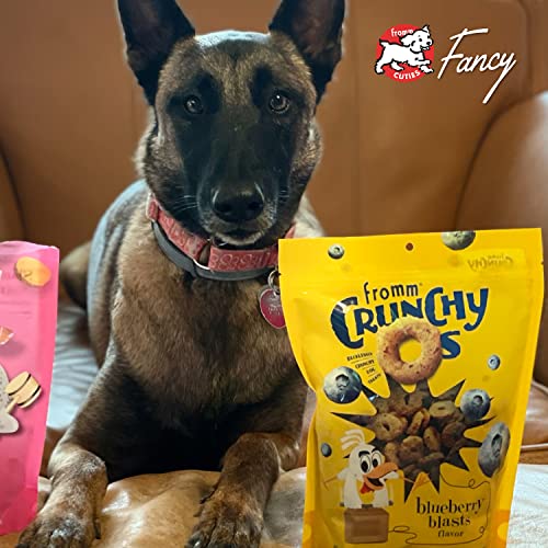 Fromm Crunchy Os dog snack time for daily enjoyment