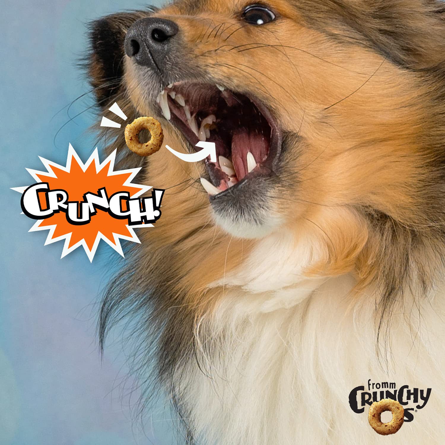 Fromm Crunchy Os Peanut Butter Jammers treats close-up highlights peanut butter aroma.