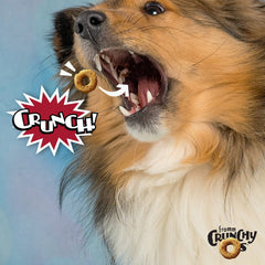 Fromm Crunchy Os Pot Roast Punchers texture closeup signals crunchy rewards for training.