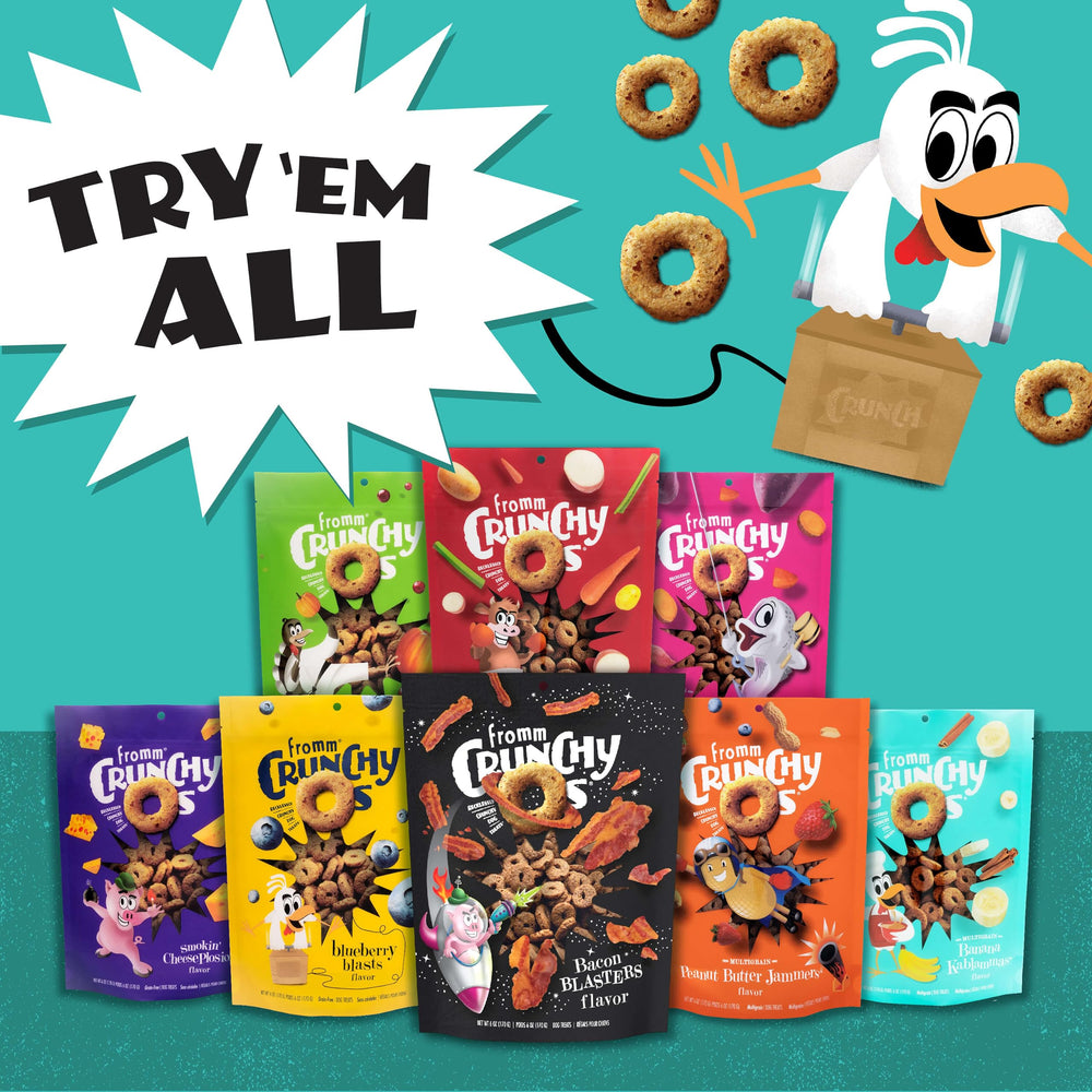 Fromm Crunchy Os Pumpkin Kran Pow large-dog-friendly treat option