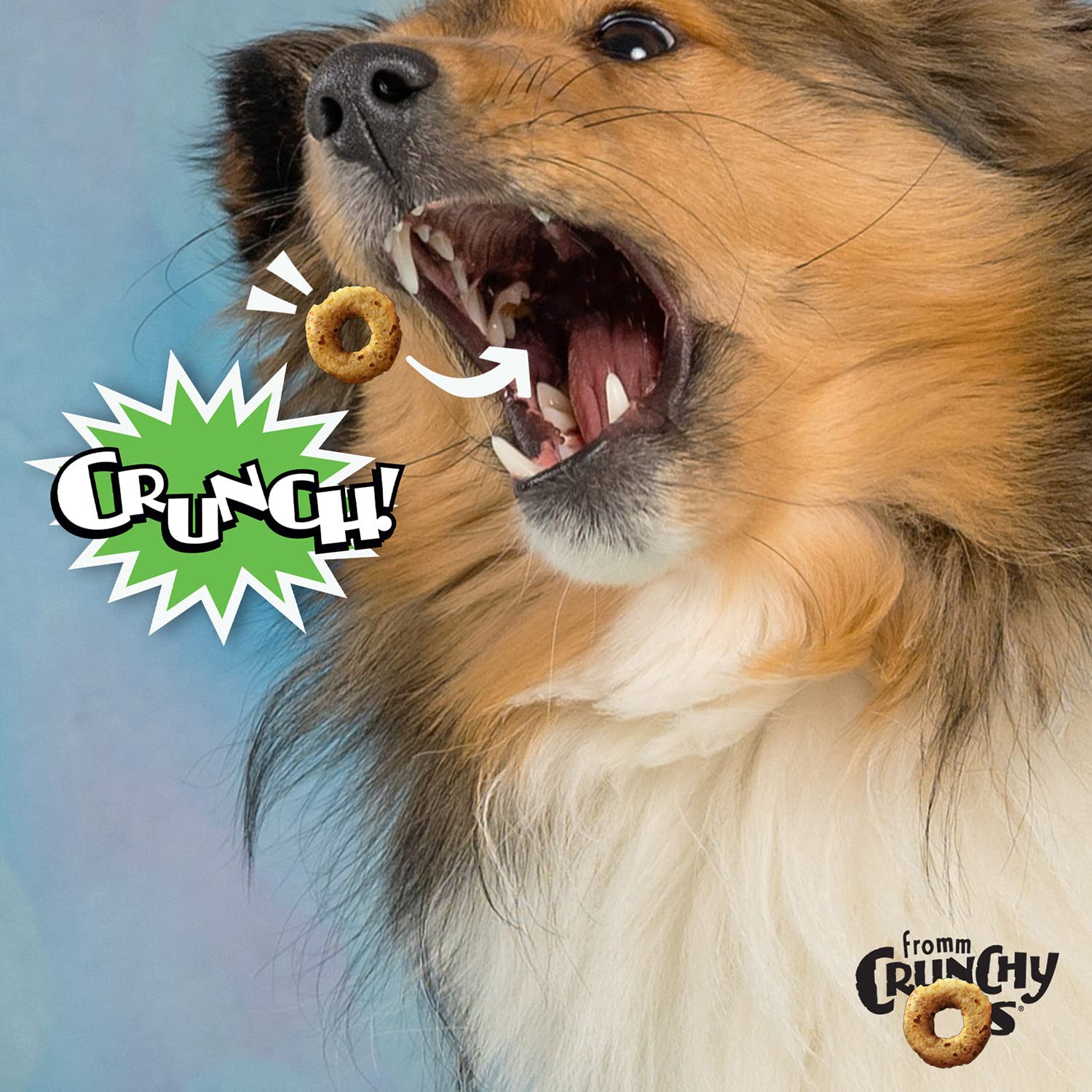Fromm Crunchy Os Pumpkin Kran Pow treats close-up highlights crunchy texture for dogs