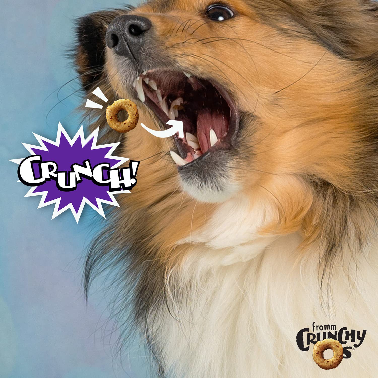 Fromm Crunchy Os Smokin' CheesePlosions dog-chewing joy, ideal for snack time and positive reinforcement