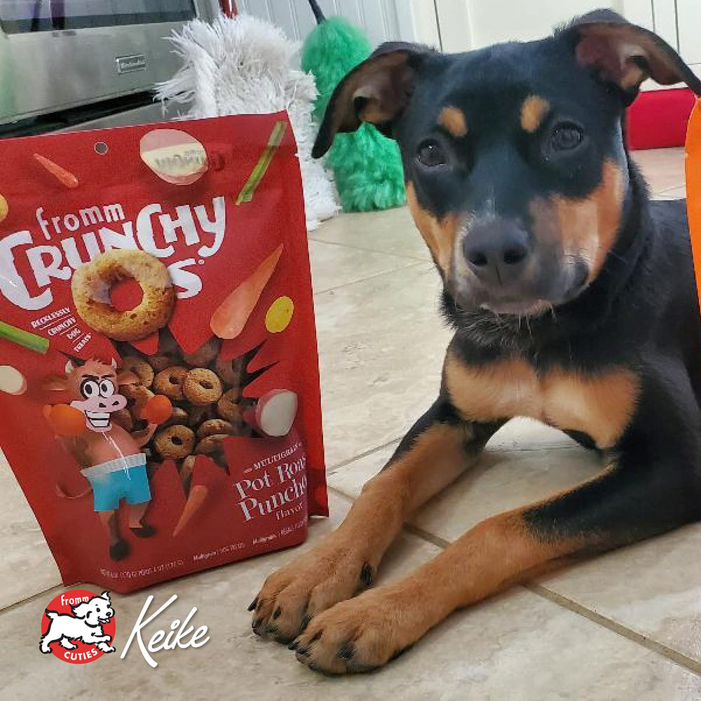 Fromm Crunchy Os training friendly rewards for dogs on the go