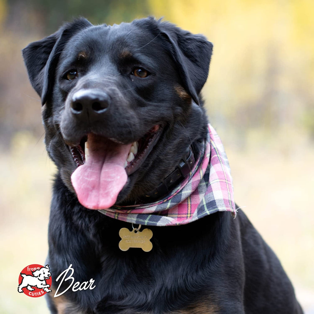 Fromm Chicken A La Veg kibble aroma close-up evoke home kitchen