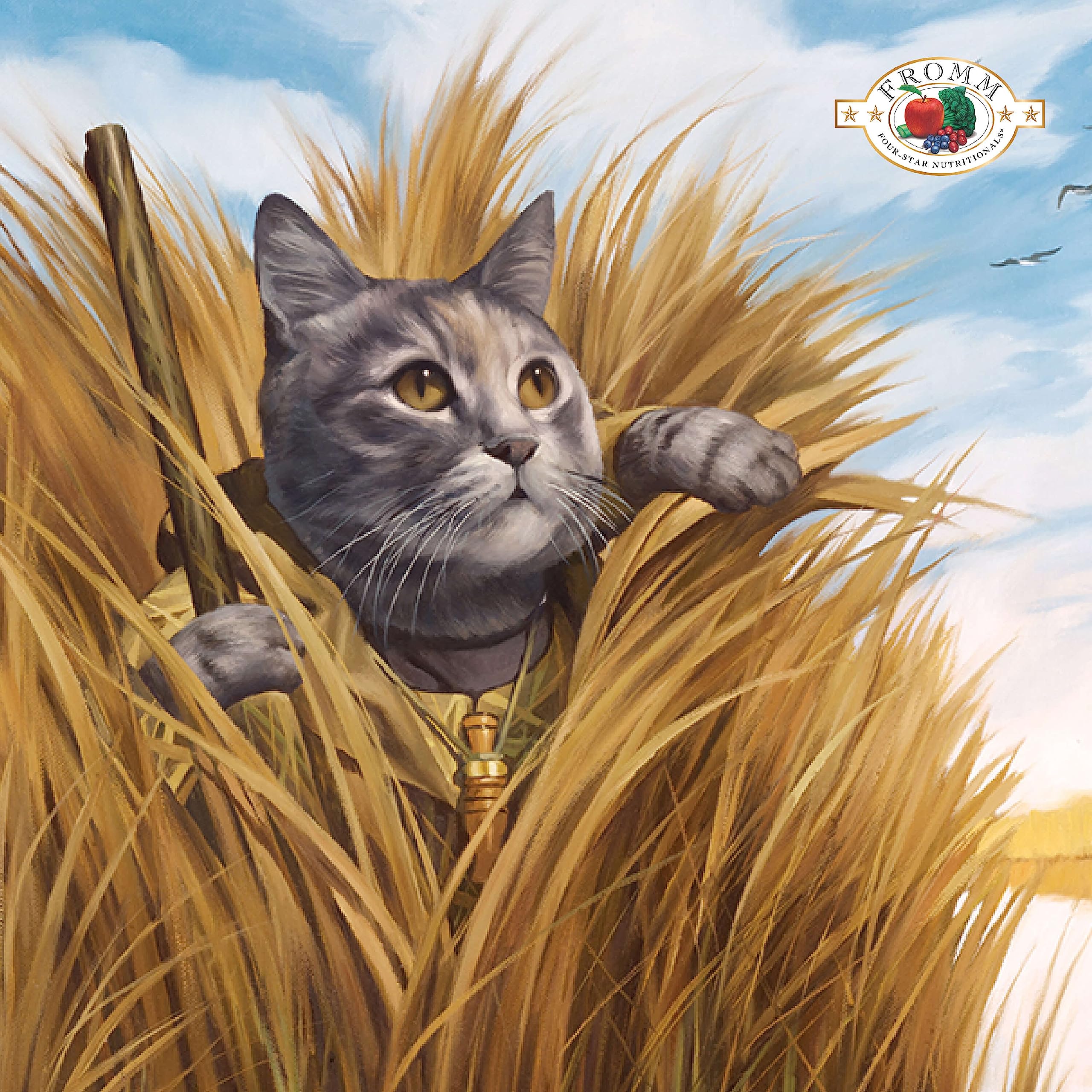 Fromm Four-Star grain-free game bird dry cat food kibble closeup, showcasing crunchy texture for mealtime appeal.