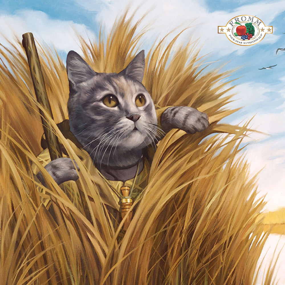 Fromm Four-Star grain-free game bird dry cat food kibble closeup, showcasing crunchy texture for mealtime appeal.