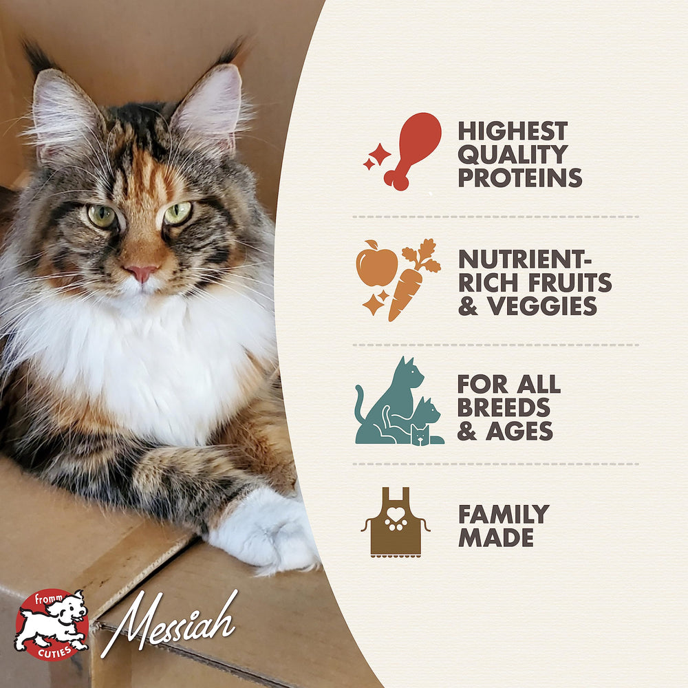 Fromm Four-Star grain-free game bird dry cat food served in bowl, inviting cats to savor.