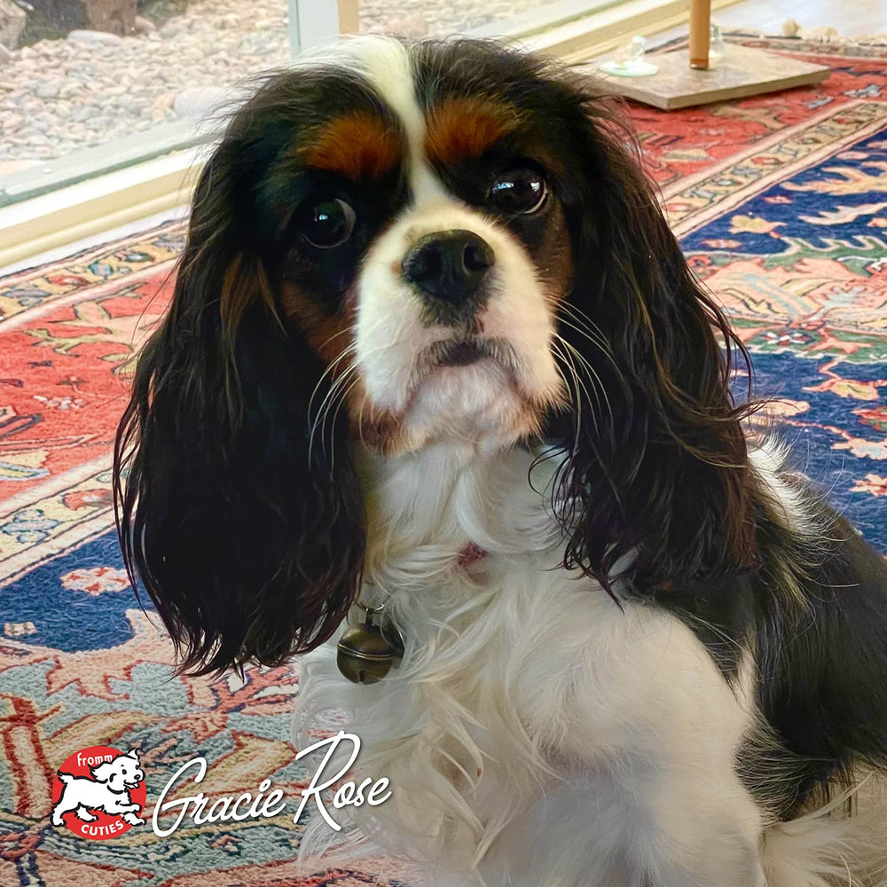 4 lb bag size framing communicates convenient household feeding for busy dog owners.