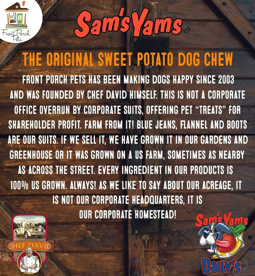 Dog enjoying Sams Yams Big Boyz chew during playtime.