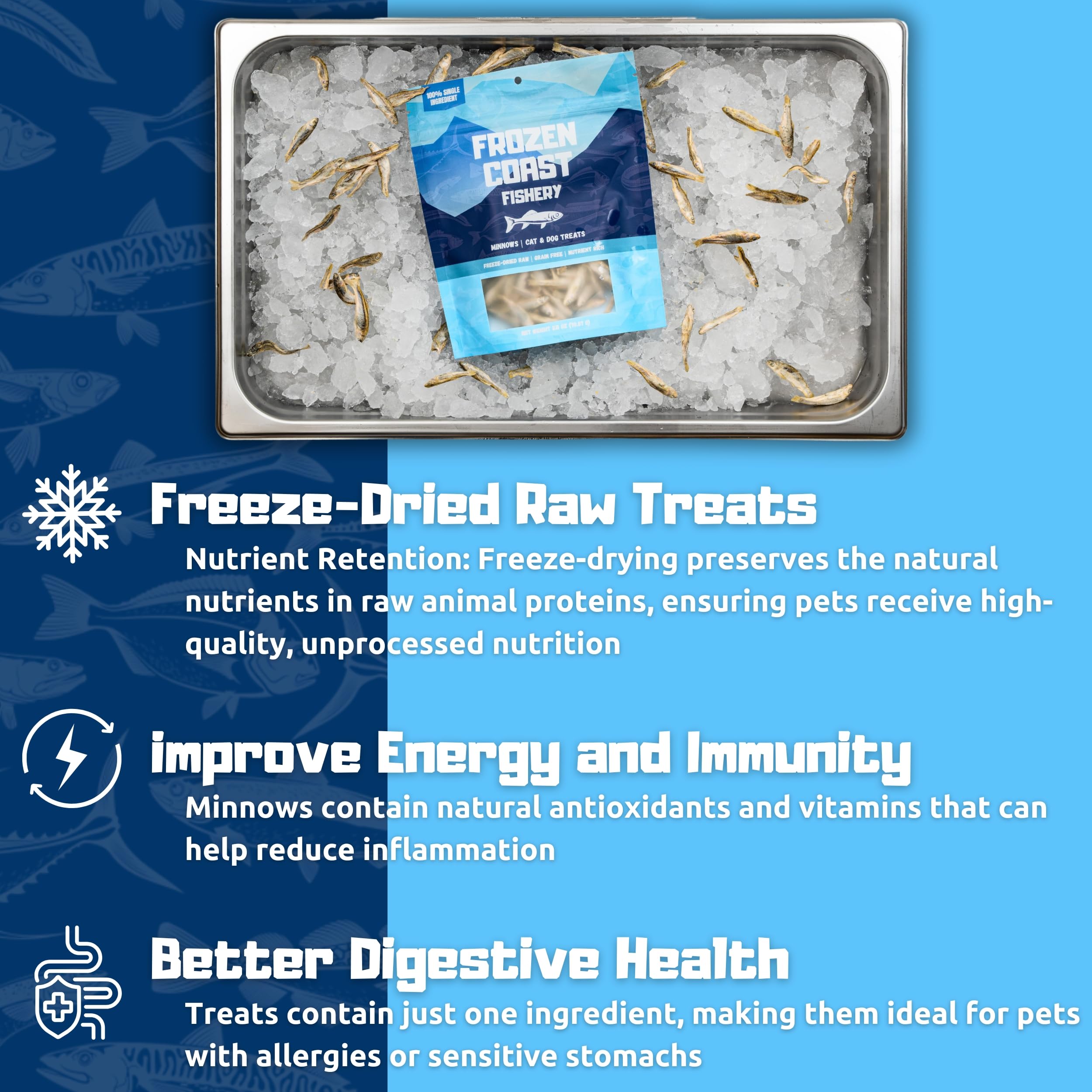 Frozen Coast Fishery minnow treats 2-5-oz bag front showcases convenient serving