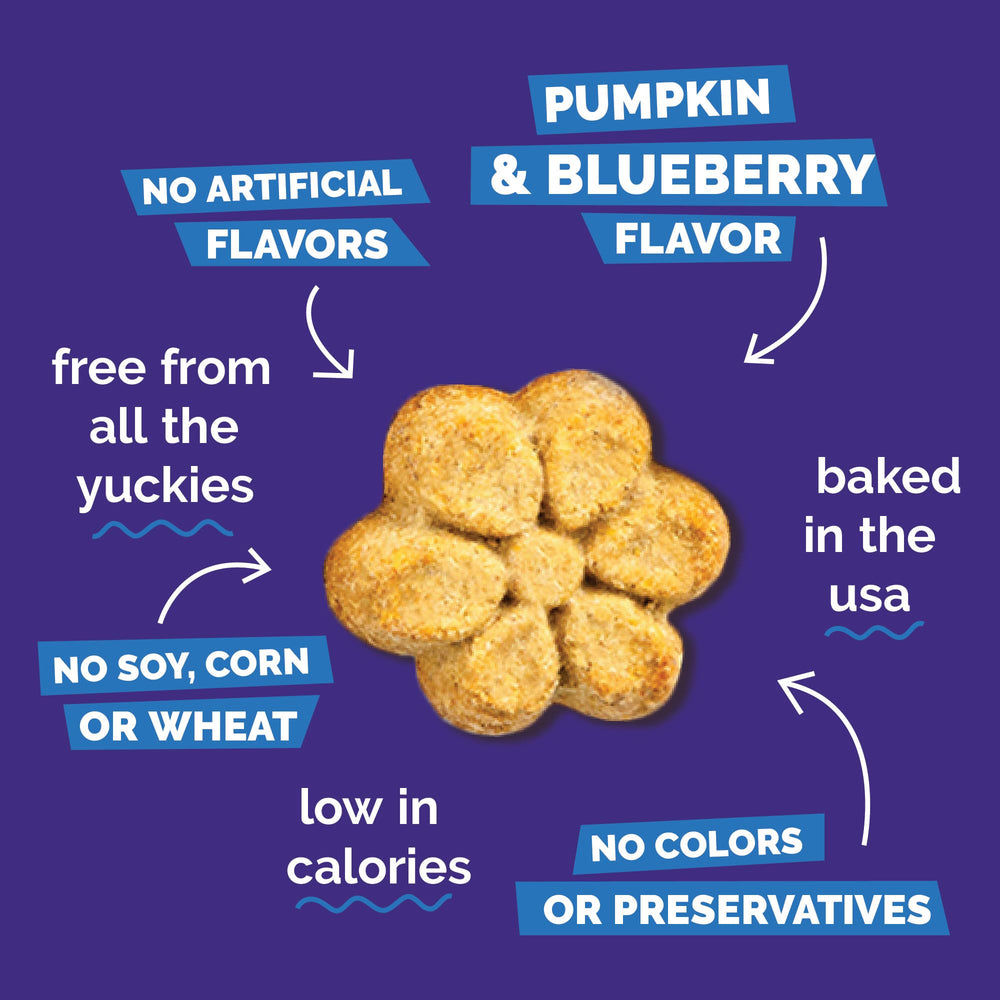 Fruitables Baked Crunchy Pumpkin Dog Treats less than 9 calories each – smart daily rewards.