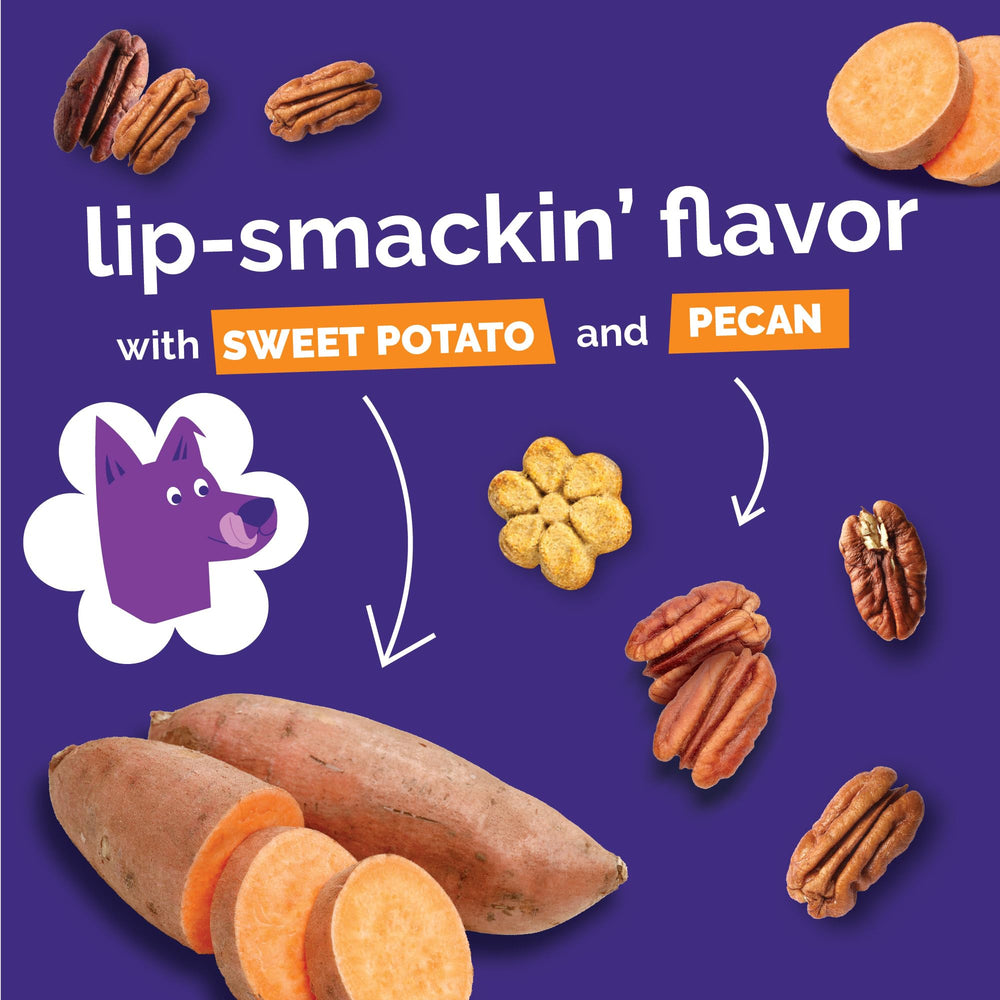 Fruitables Baked Crunchy Pumpkin Dog Treats USA-made with high-quality ingredients.