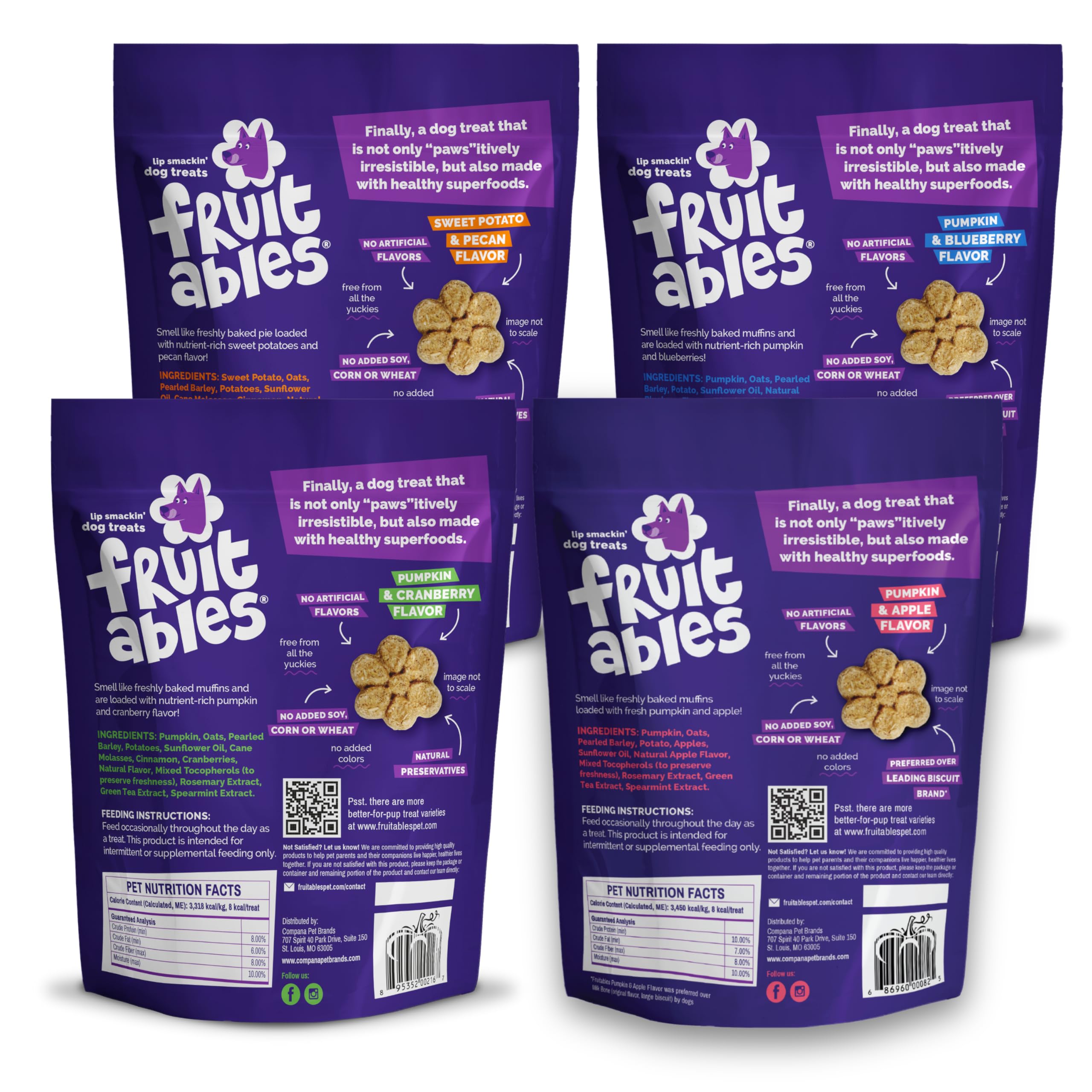 Fruitables Baked Crunchy Pumpkin Dog Treats Blueberry flavor—antioxidant-rich snack.