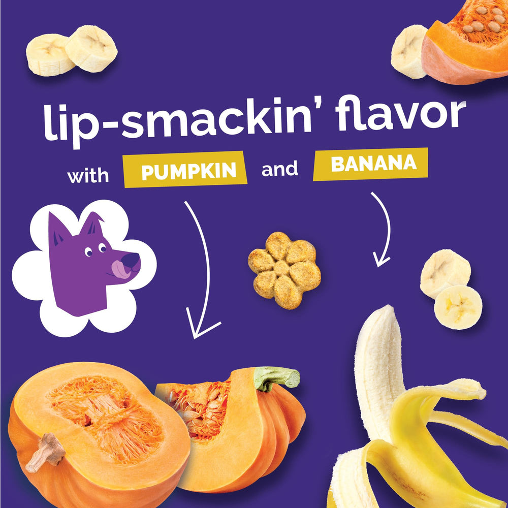 Fruitables Baked Dog Treats Oven-Crunch closeup emphasizes crisp texture ideal for quick rewards.