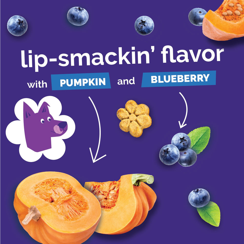 Fruitables Baked Dog Treats Pumpkin Banana Pouch offers fiber-rich, tasty options for training sessions.