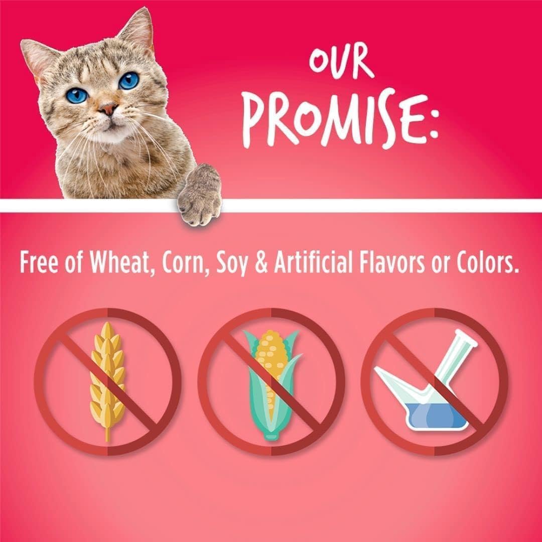 Fruitables Cat Treats limited-ingredients pouch communicates simple, transparent feeding choices.