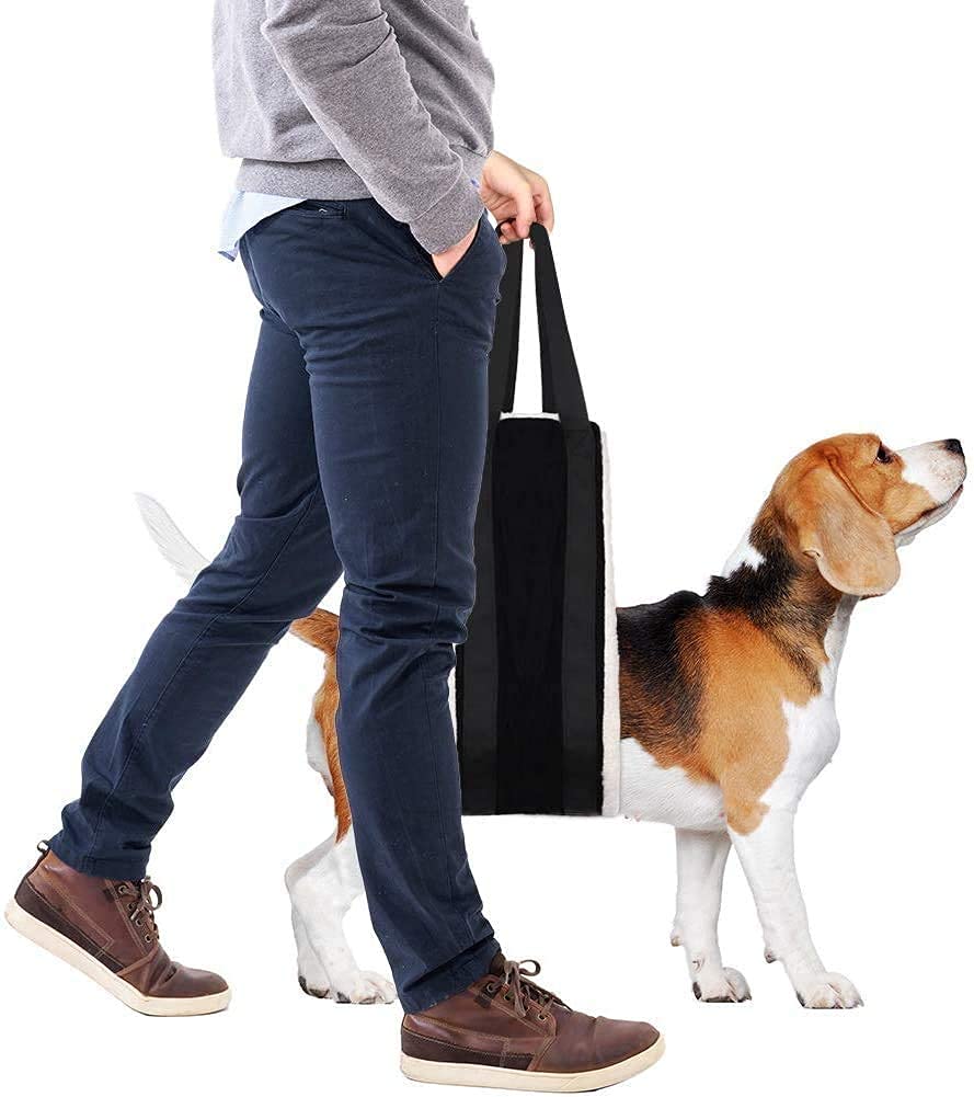 FSUHHIAD supports elderly dogs with balance and renewed confidence.