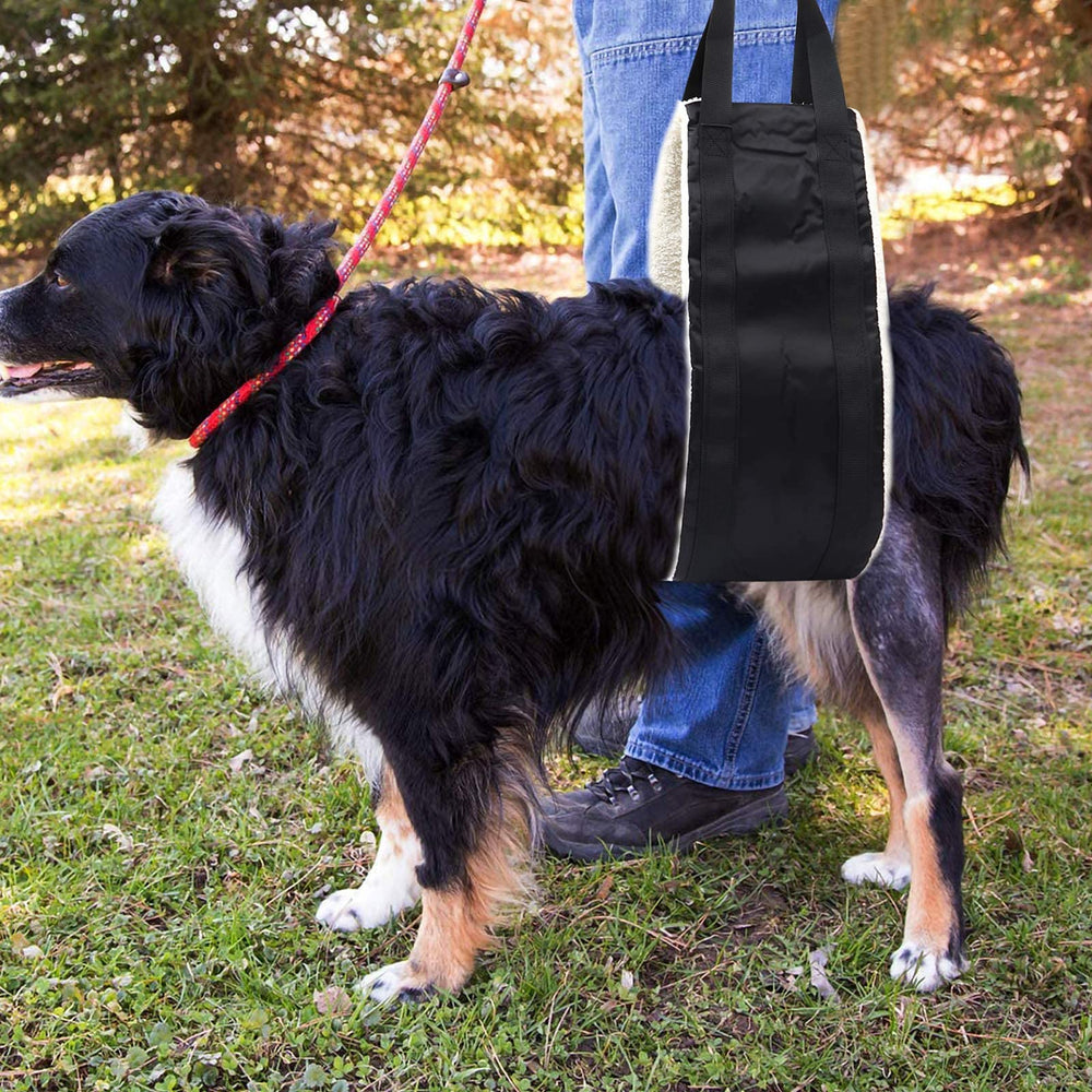 FSUHHIAD mobility sling includes a compact storage case for on-the-go use.