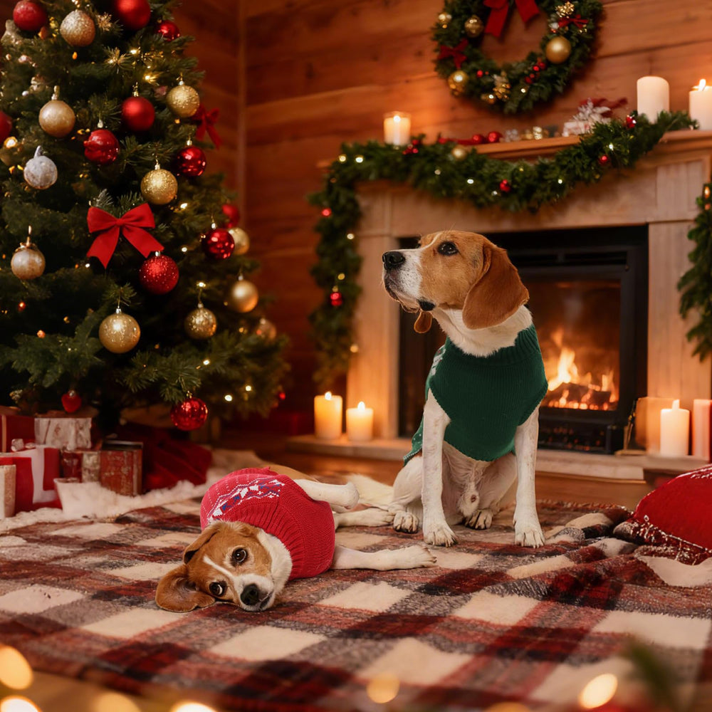 FUAMEY christmas outfit pairing idea showcases festive look for photos and gatherings