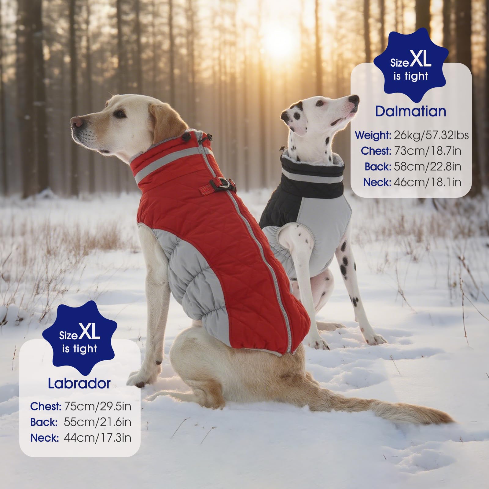 FUAMEY adjustable elastic straps prevent wind entry for a snug fit.