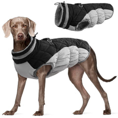 FUAMEY dog coat back zipper harness enables easy on-the-go leash attachment