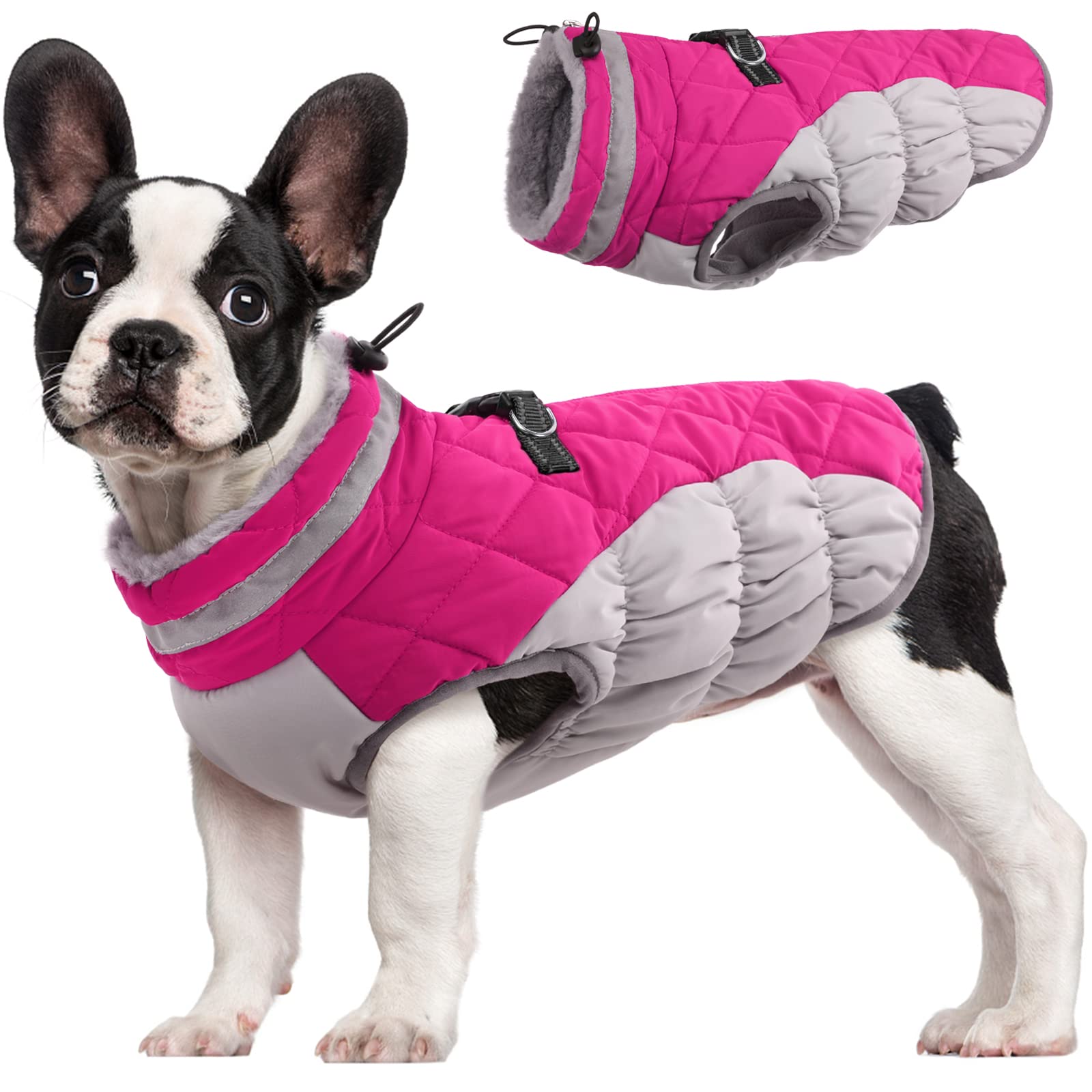 FUAMEY dog coat front view demonstrates waterproof warmth for chilly walks.