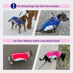 FUAMEY coat with built-in harness allows leash attachment without extra gear