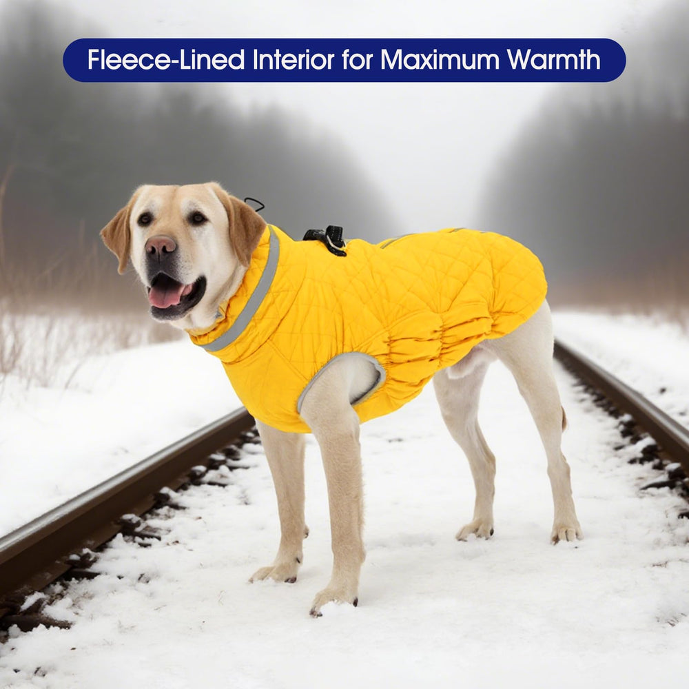 FUAMEY dog coat medium weather-resistant surface protects against rain and snow
