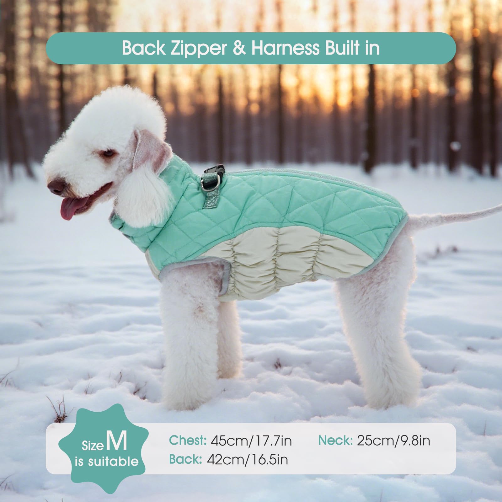 FUAMEY dog coat mint green color on medium dog for stylish winter wear
