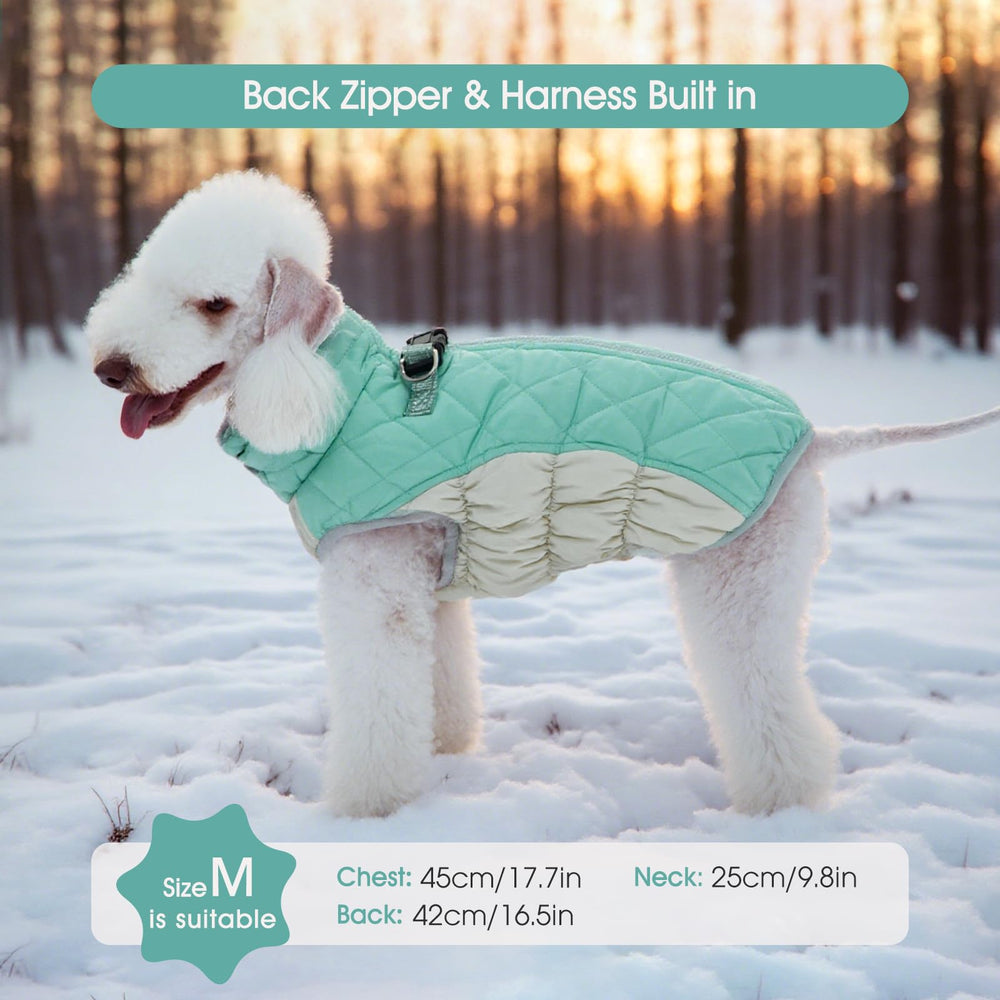 FUAMEY dog coat mint green color on medium dog for stylish winter wear