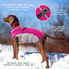 FUAMEY dog coat pink thick collar provides neck warmth