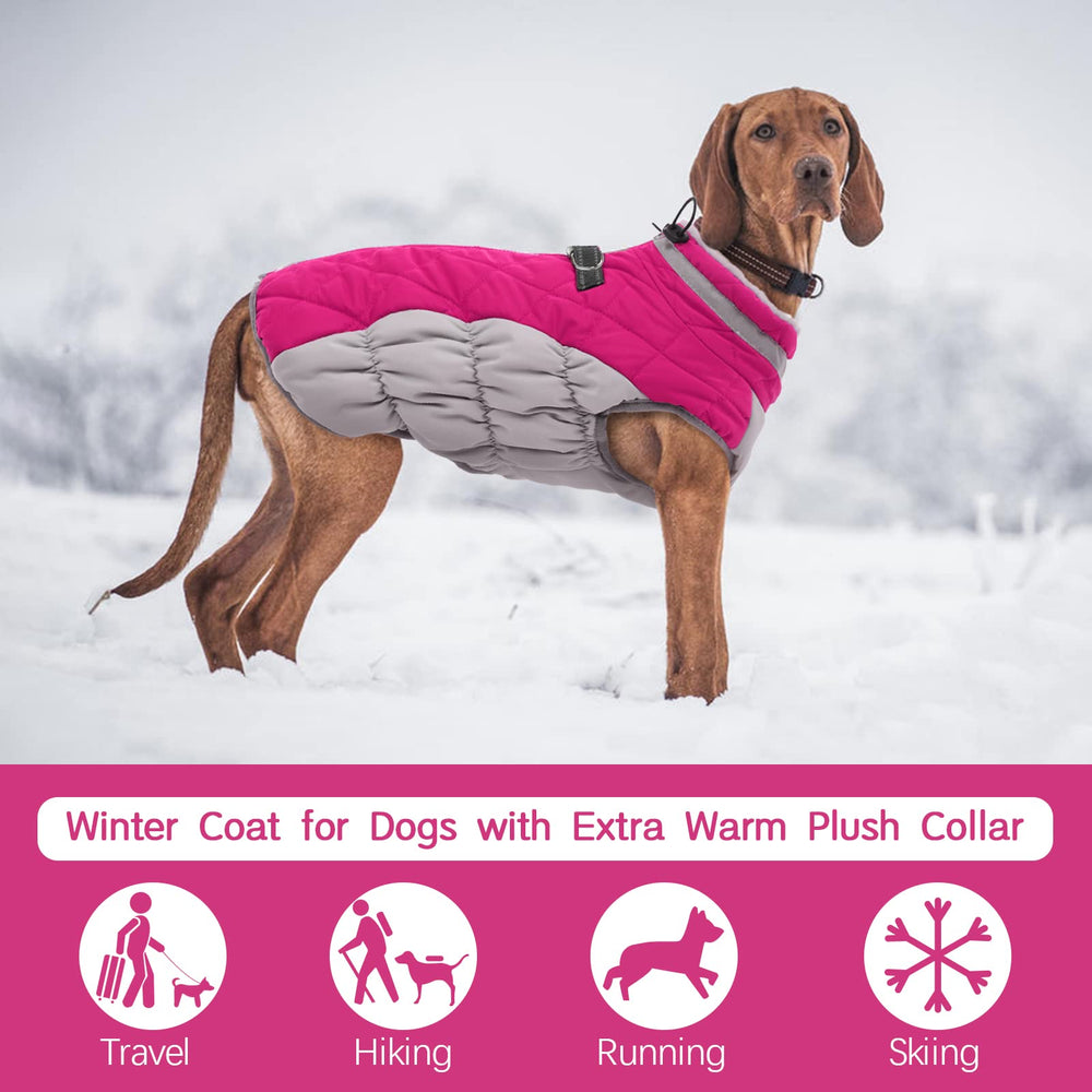 FUAMEY dog coat reflective strip closeup boosts nighttime visibility during strolls.