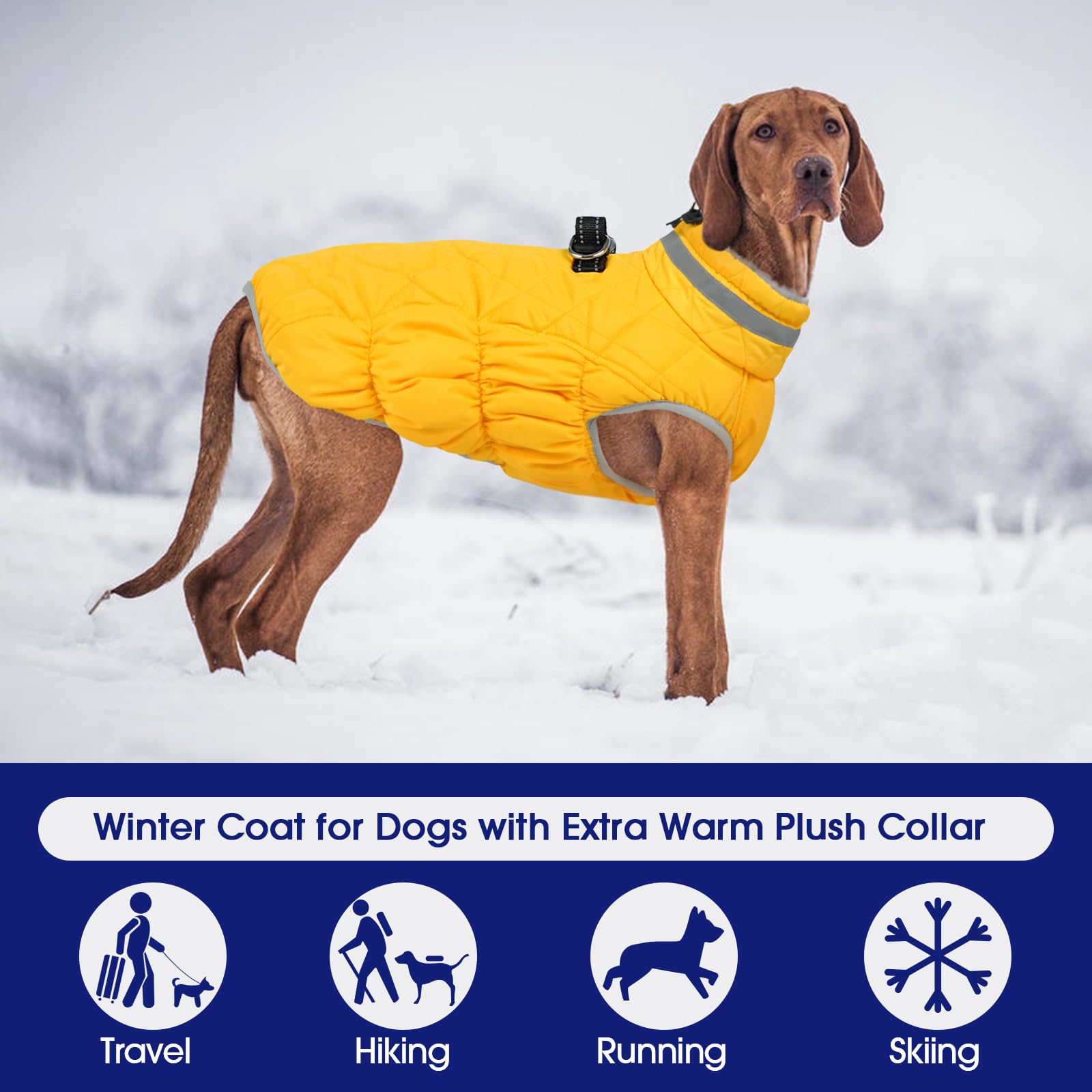 FUAMEY dog coat reflective strip enhances nighttime visibility during walks