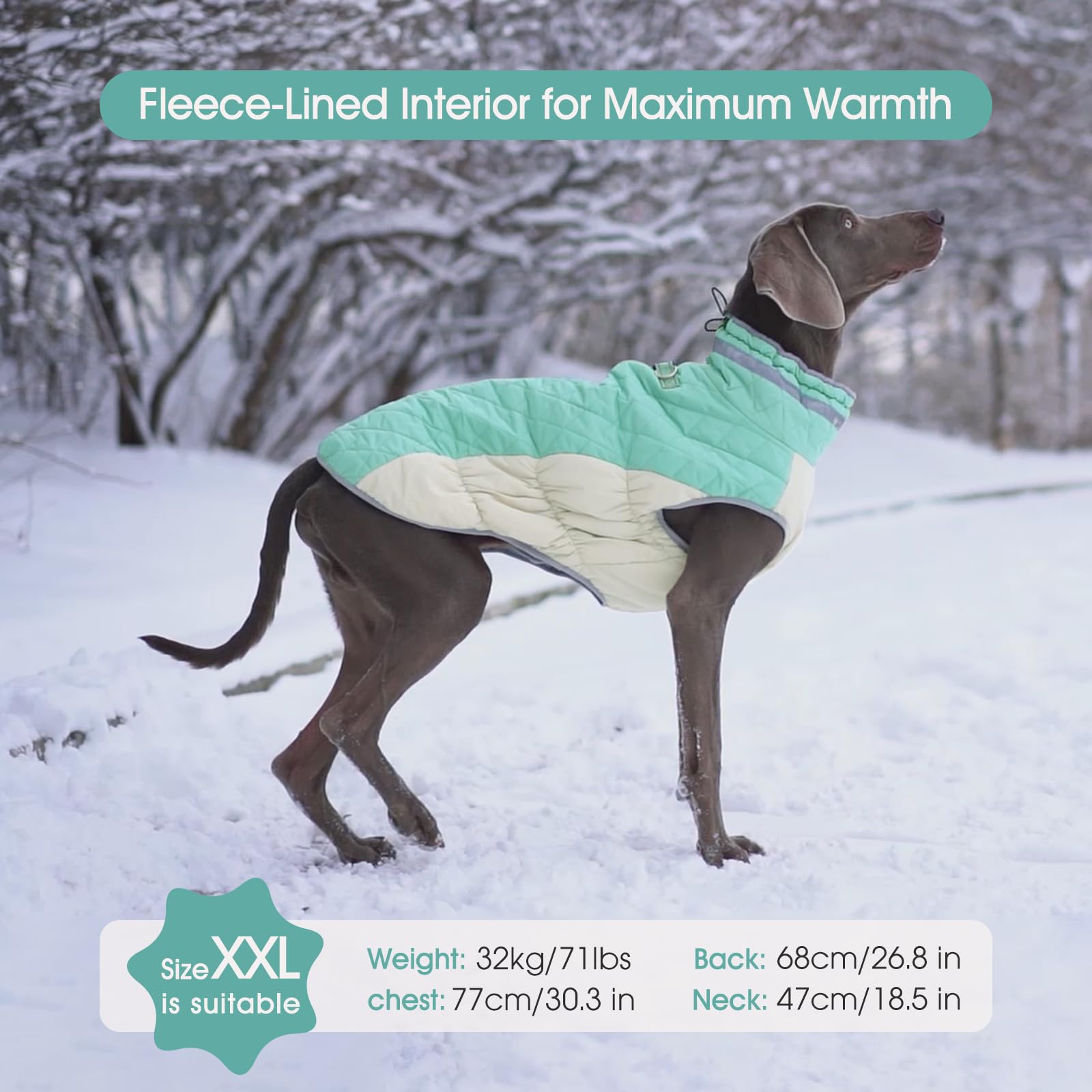 FUAMEY dog coat reflective strip boosts night visibility during walks
