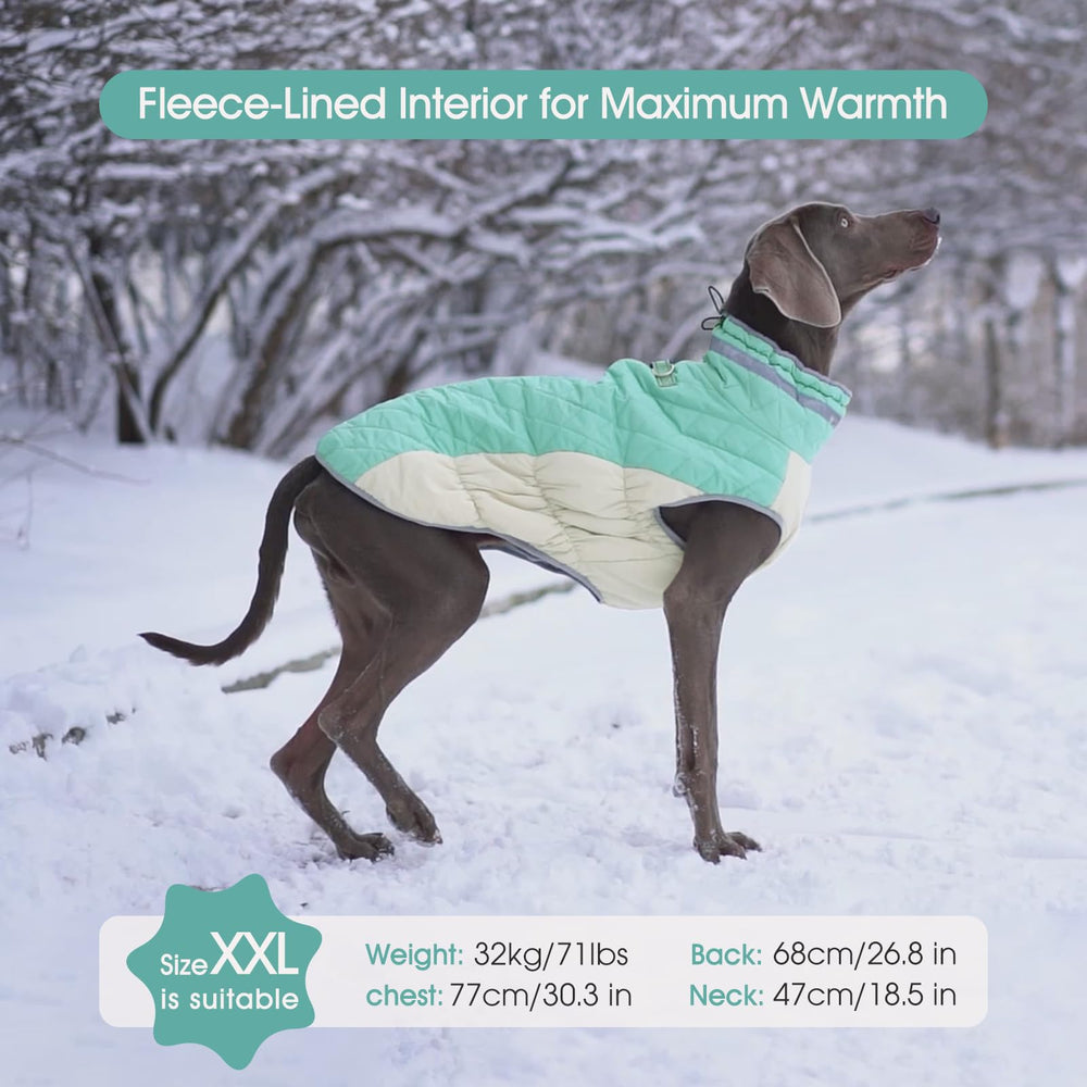 FUAMEY dog coat reflective strip boosts night visibility during walks