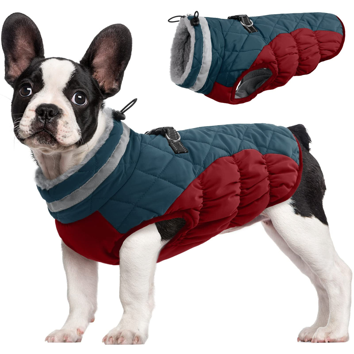FUAMEY dog coat small waterproof back-zipper enables easy on-off during walks