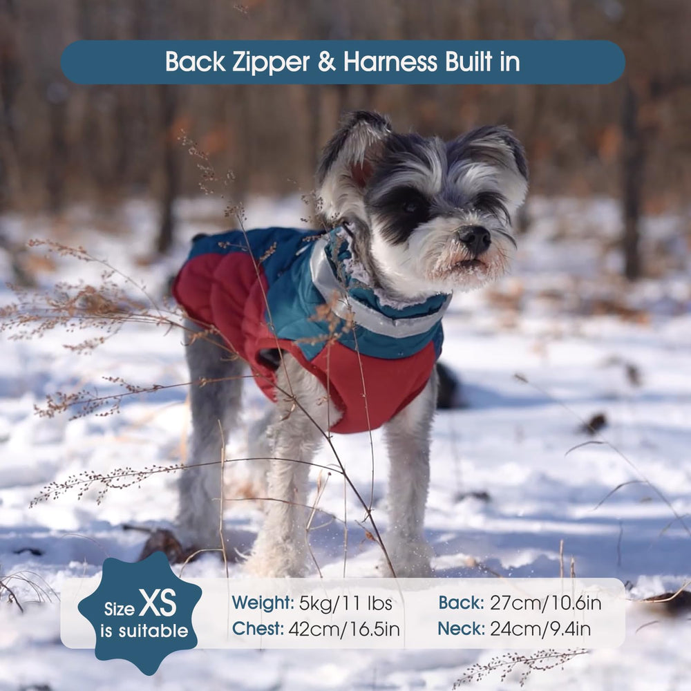 FUAMEY snow-resistant fabric keeps pups drier in light flurries