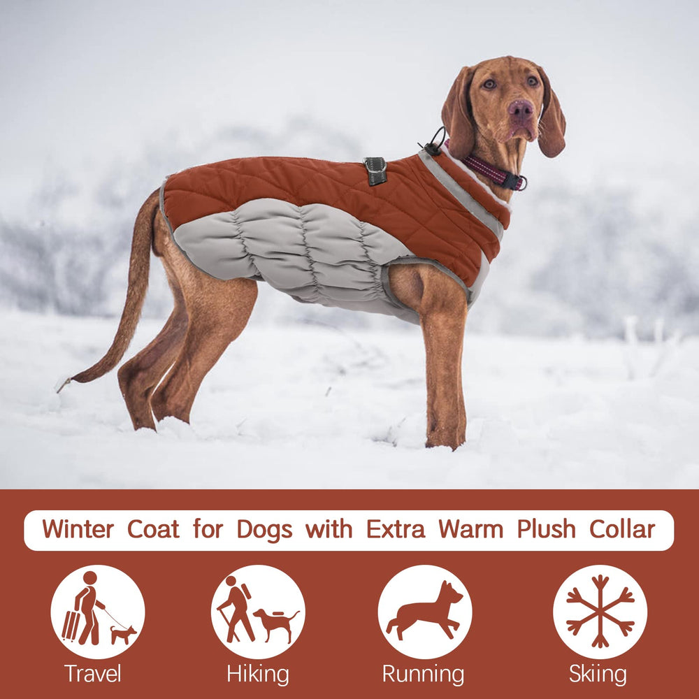 FUAMEY thick collar coat provides wind protection on chilly days.