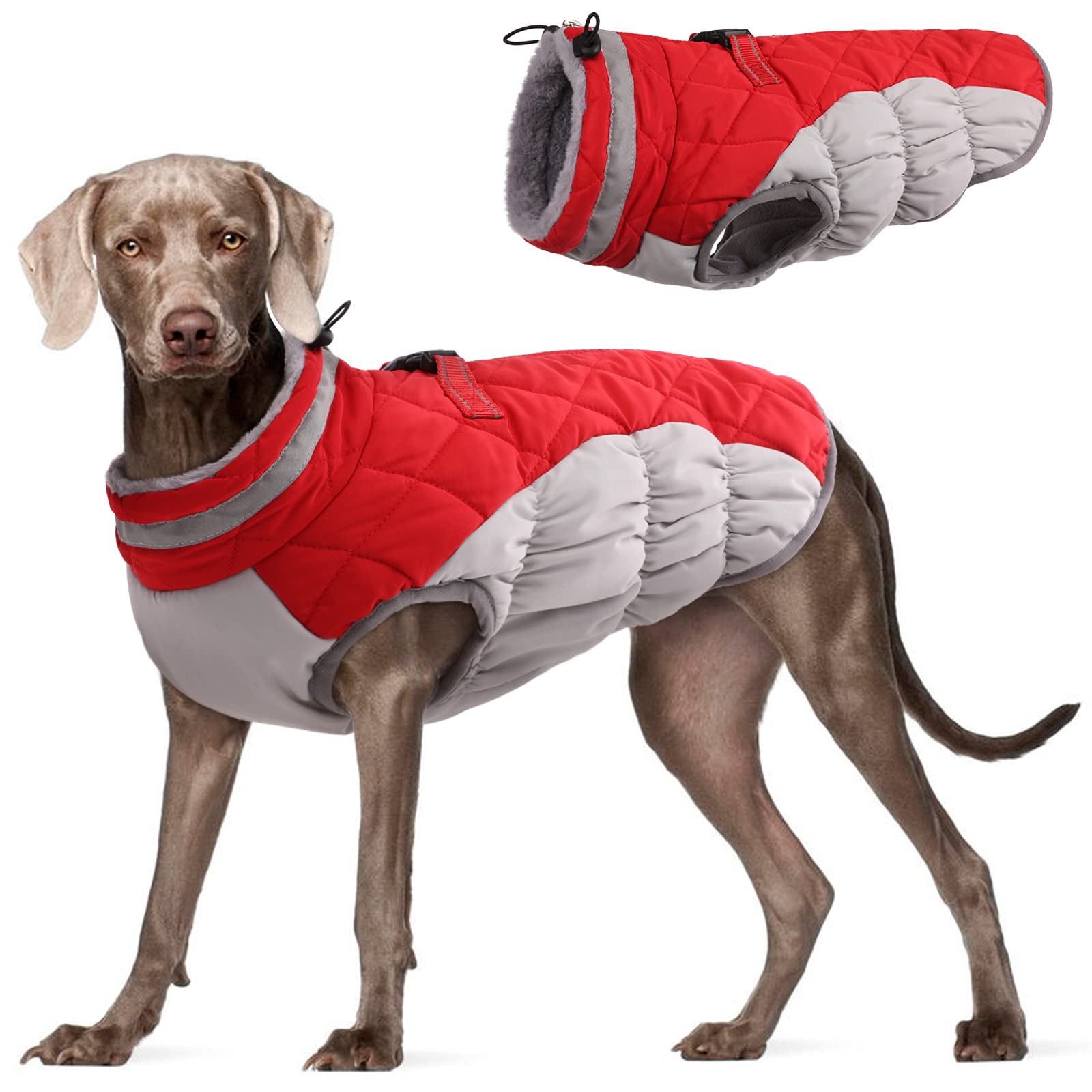 FUAMEY dog coat with waterproof back-harness for secure walks