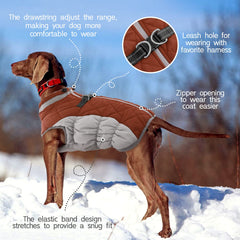 FUAMEY waterproof fabric keeps your pup dry in mist or light rain.
