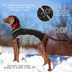 FUAMEY waterproof fabric protects against rain and snow while keeping your dog warm.