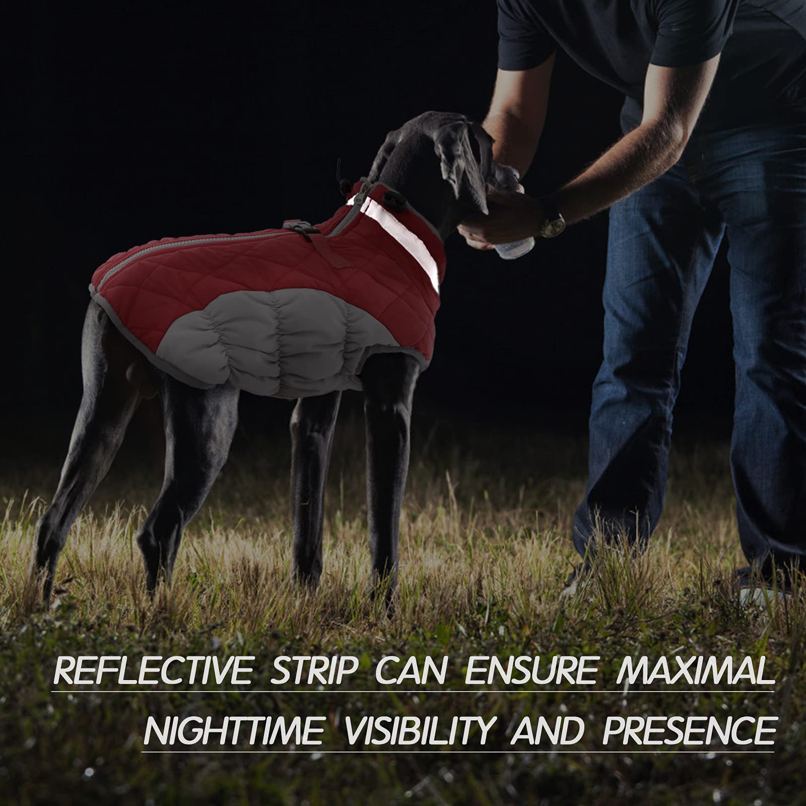 FUAMEY windproof fleece coat keeping dogs warm on breezy days