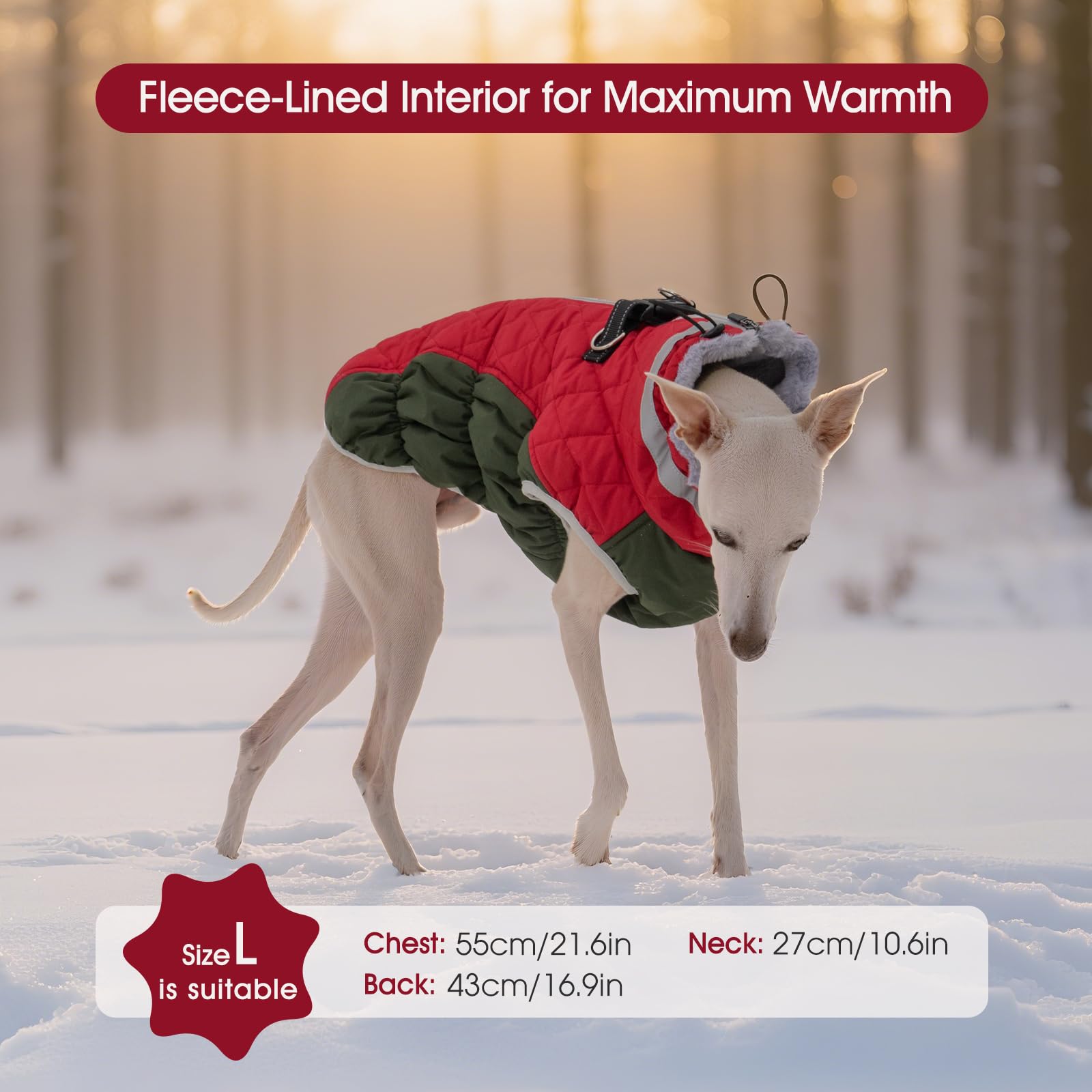FUAMEY dog wearing coat on walk demonstrates cozy, unrestricted movement.