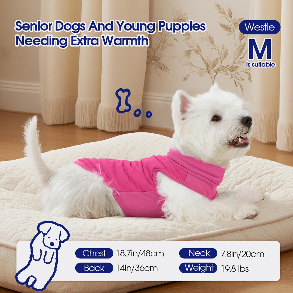 FUAMEY elastic fleece abdomen panel demonstrates flexible fit for active dogs.