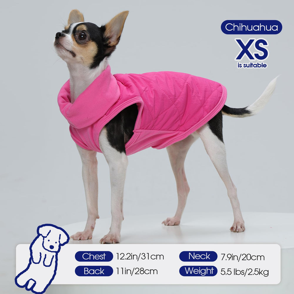 FUAMEY lightweight warmth supports year-round adventures for medium dogs.