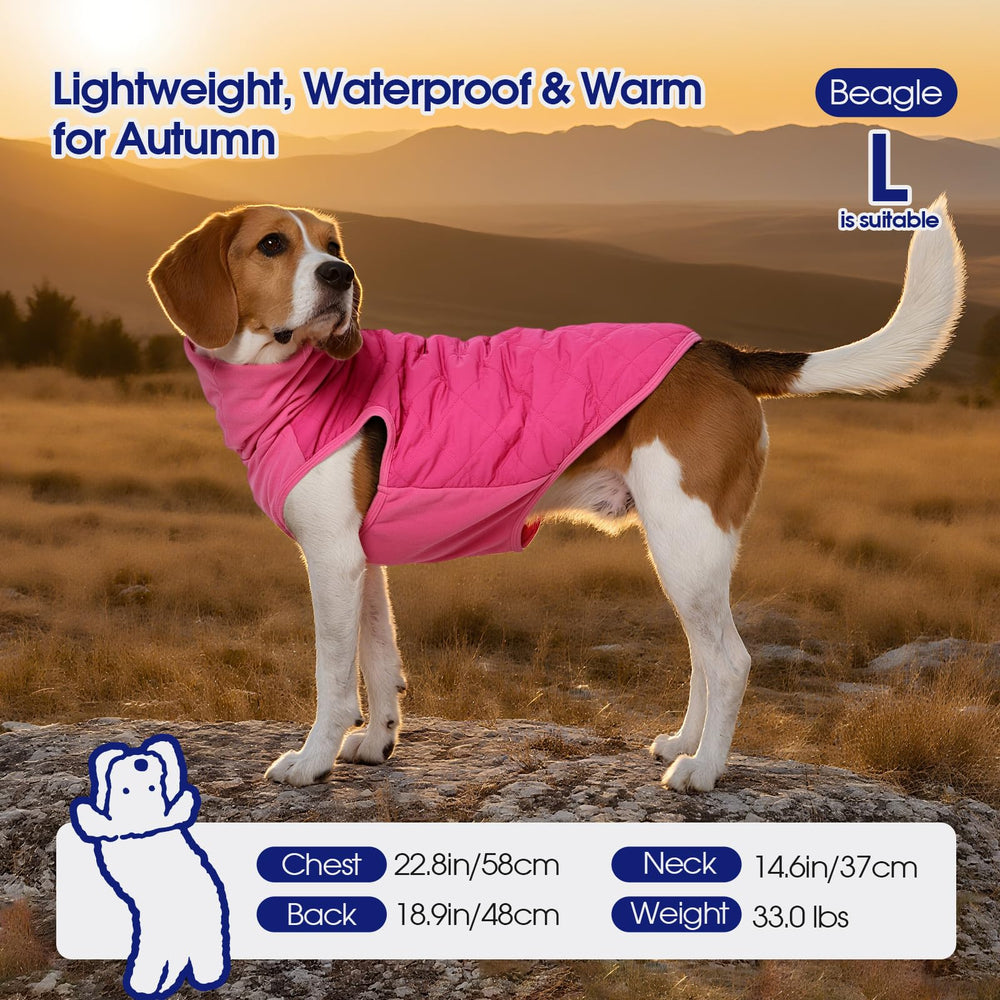 FUAMEY machine-washable durable fabric ideal for busy pet owners.