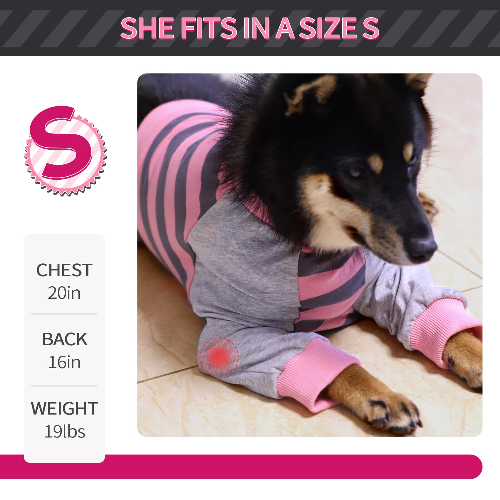 FUAMEY Dog Recovery Sleeve outdoor-use view shows skin protection and comfort
