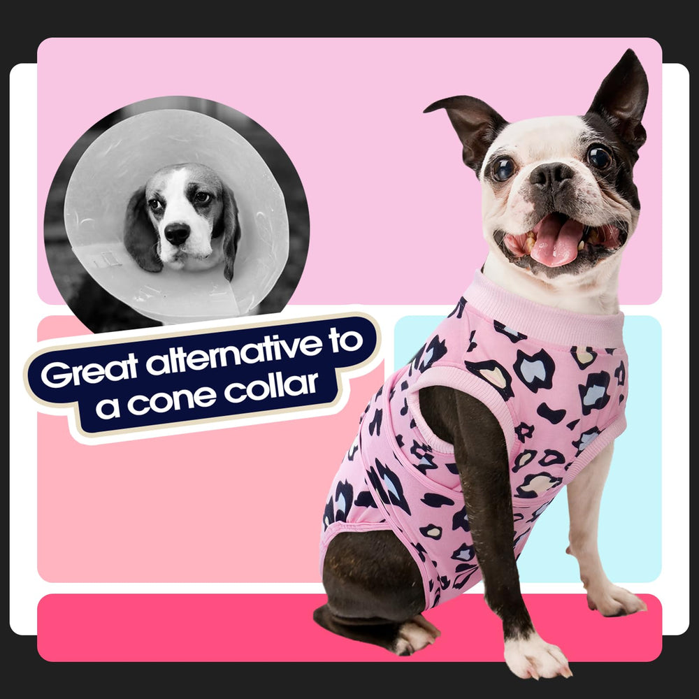 FUAMEY recovery suit on dog during walk illustrates freedom of movement